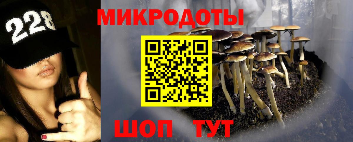 Галлюциногенные грибы Psilocybe Кыштым